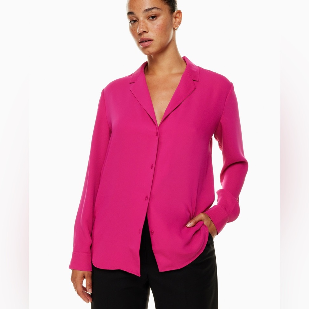 Aritzia Babaton Monocle Shirt